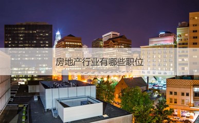 南寧振寧房地產概況與房地產銷售、策劃代理入門指南